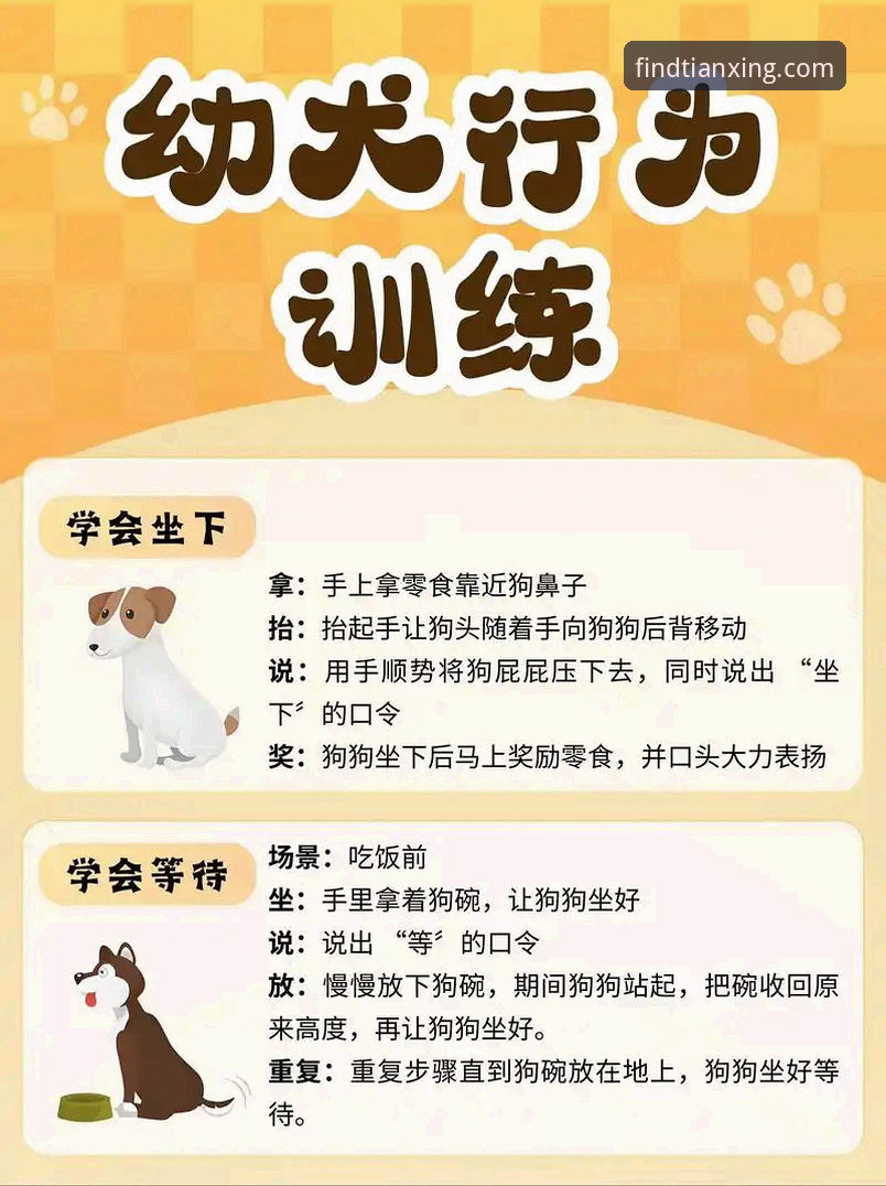 天行体育最新版本 新手必读:天行体育最新版本v2.0.0使用心得,资深用户教你如何直达官方互动区